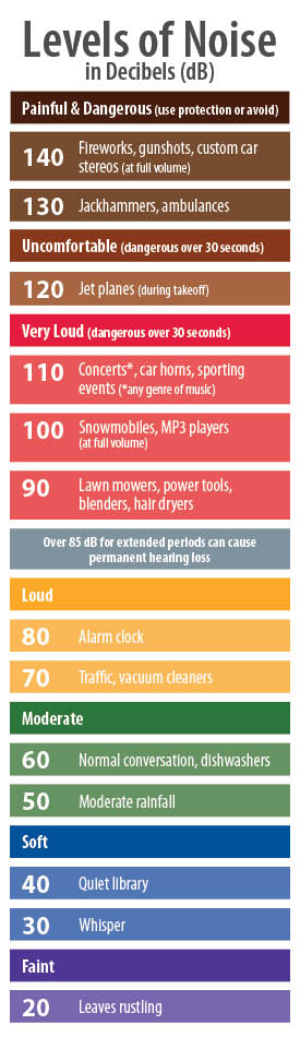 Hearing Protection guide